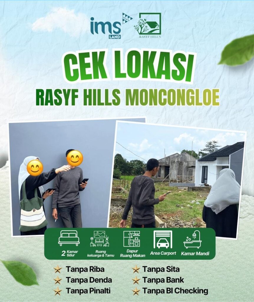 WhatsApp Image 2026-02-11 at 15.41.23