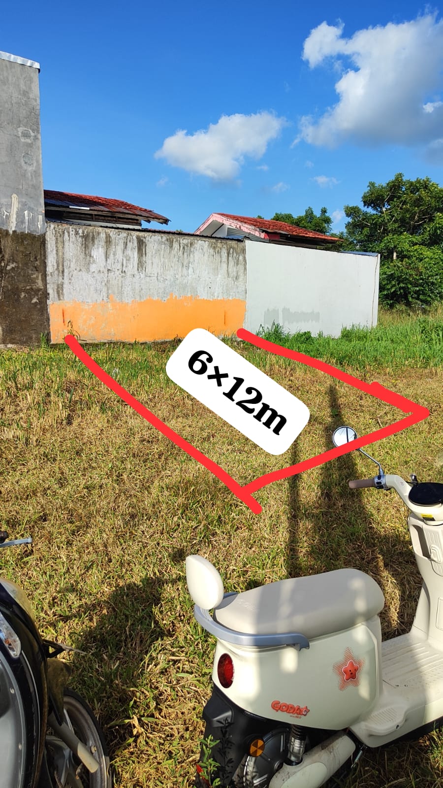 WhatsApp Image 2026-02-24 at 13.15.00 (1)