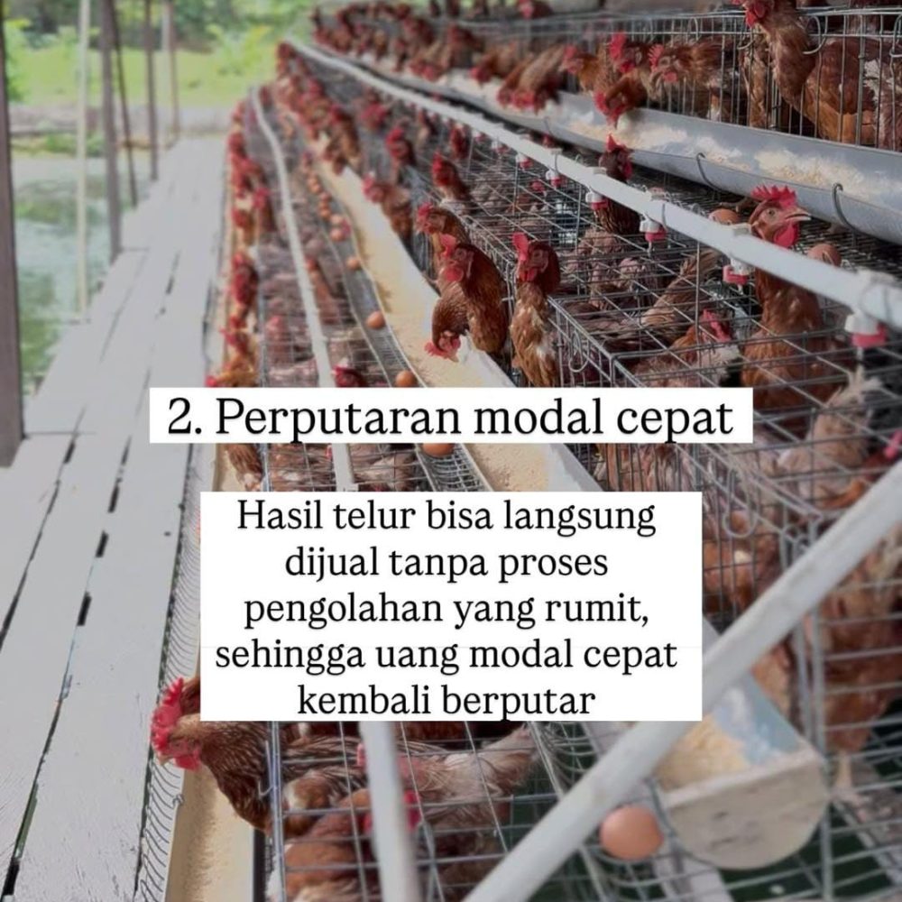 WhatsApp Image 2026-02-11 at 19.19.38