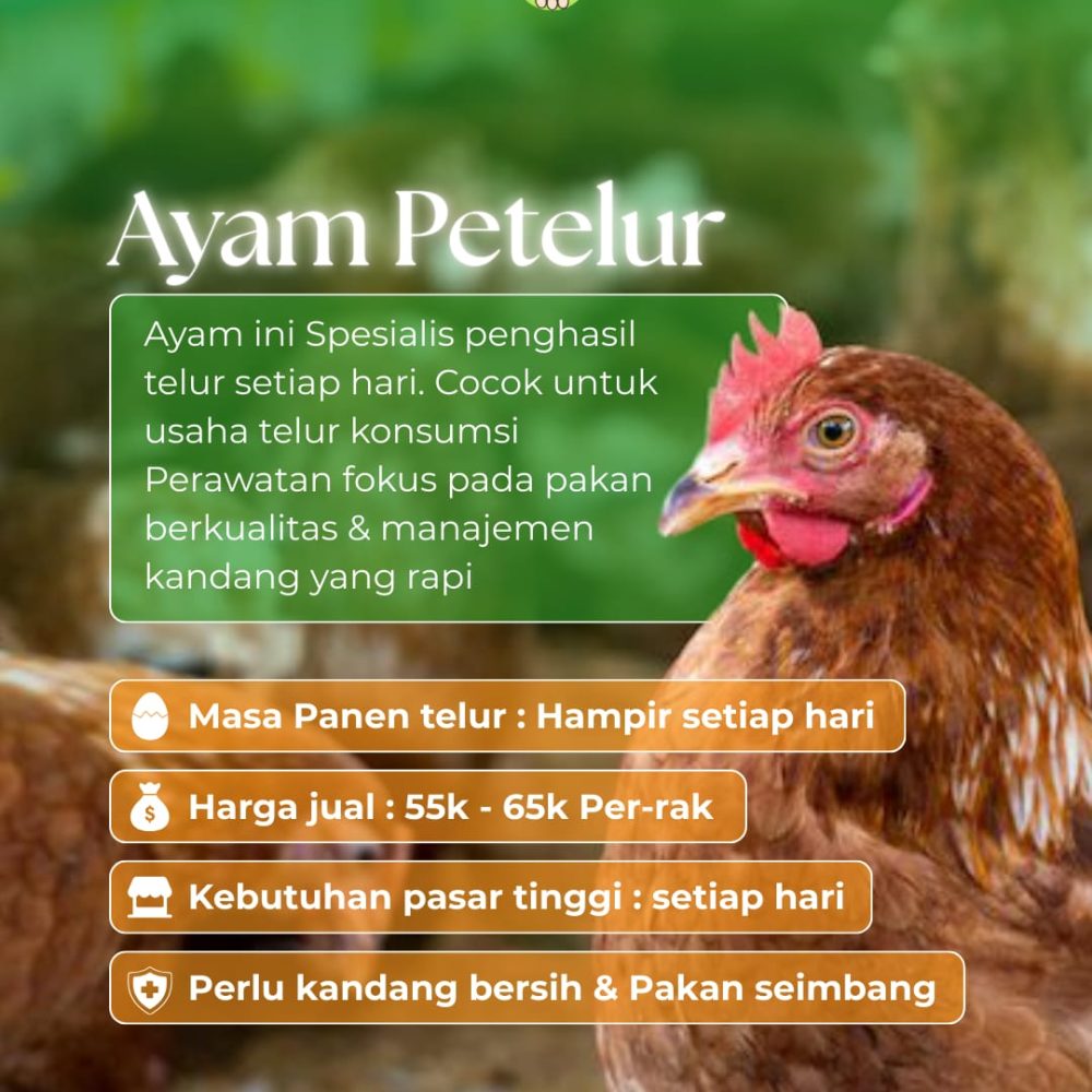 WhatsApp Image 2026-02-11 at 19.19.39 (2)