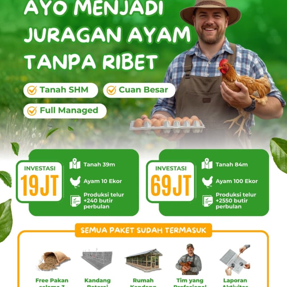 WhatsApp Image 2026-02-11 at 19.19.39