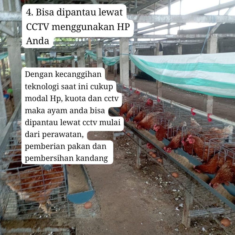 WhatsApp Image 2026-02-11 at 19.19.40 (1)