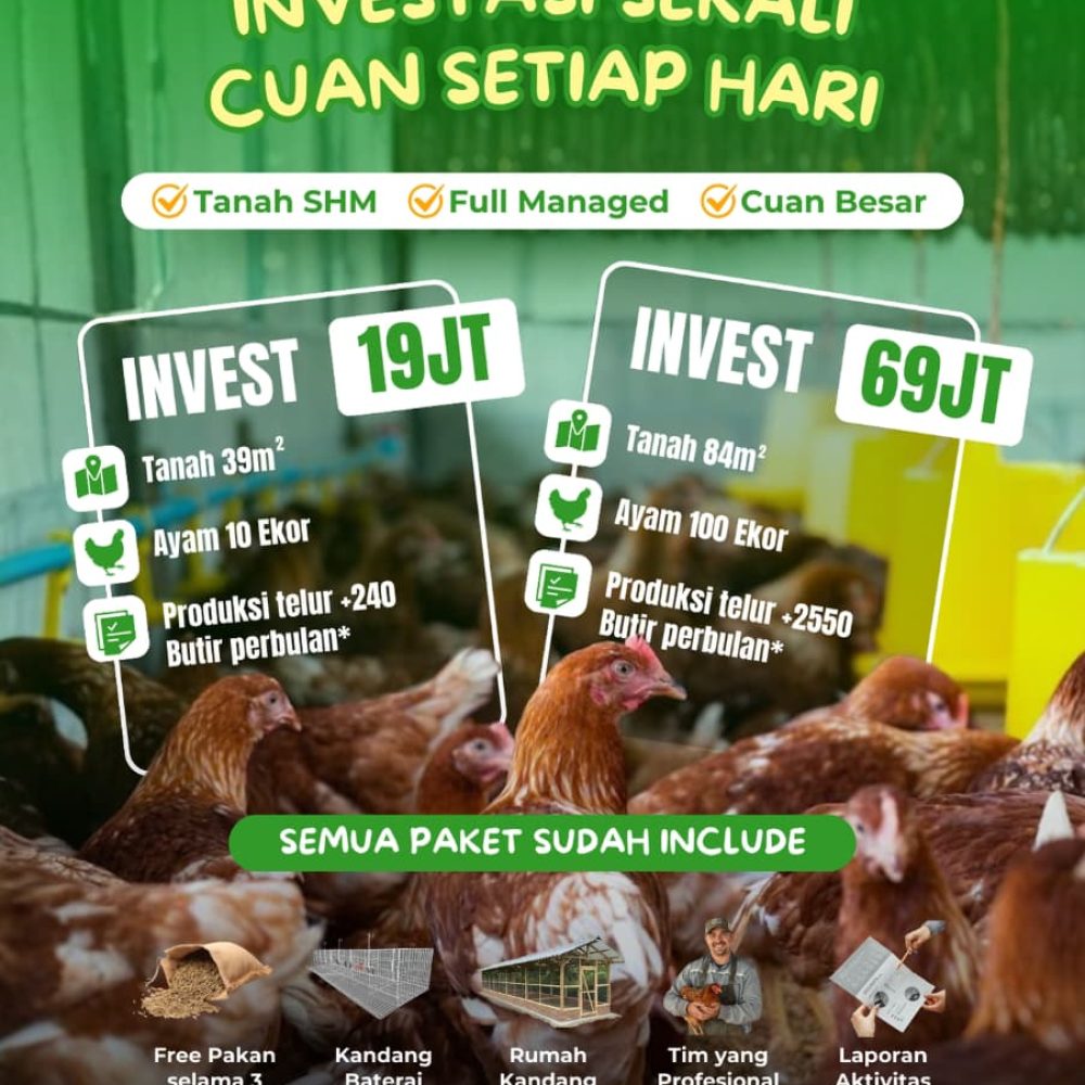 WhatsApp Image 2026-02-11 at 19.19.40